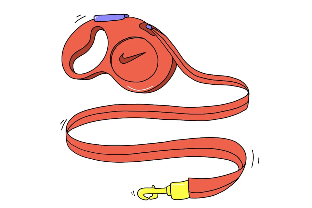 8 Tipps für das Laufen mit deinem Hund. Nike LU